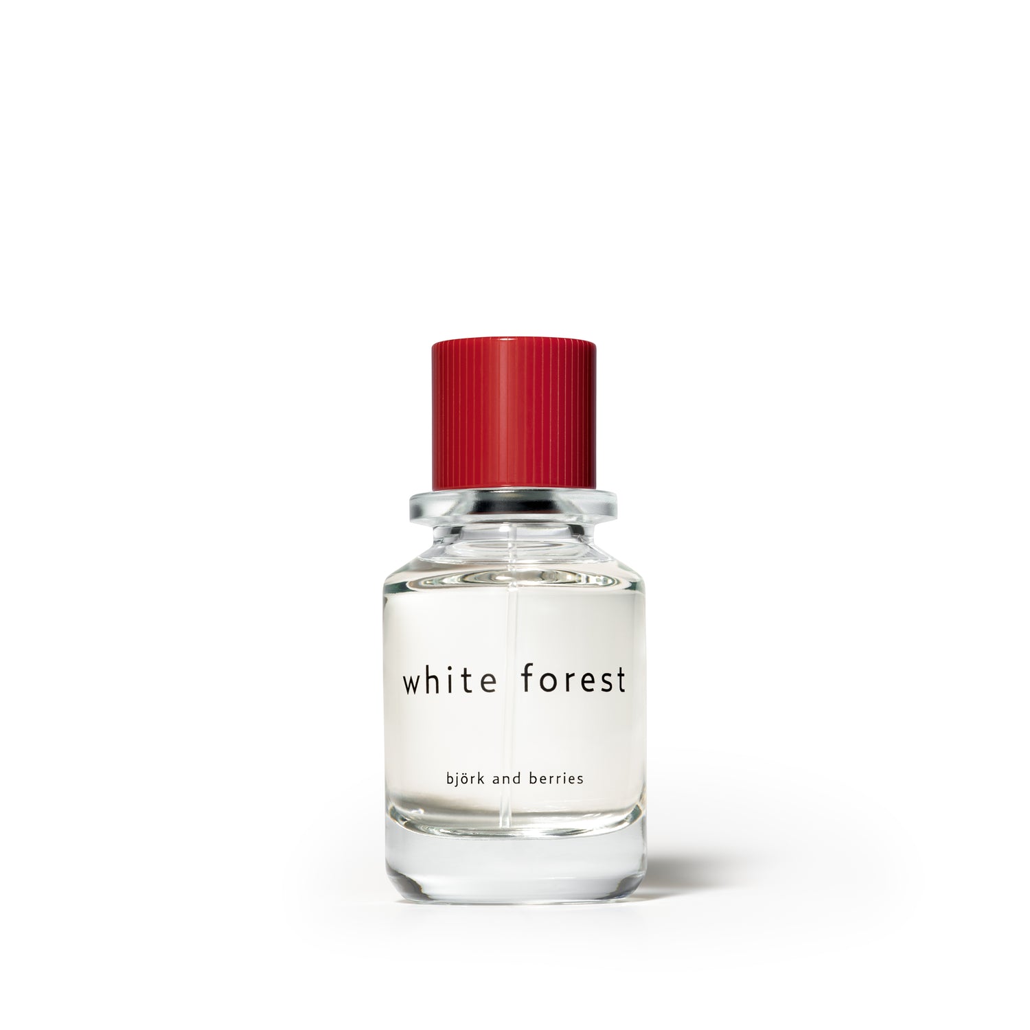 WHITE FOREST